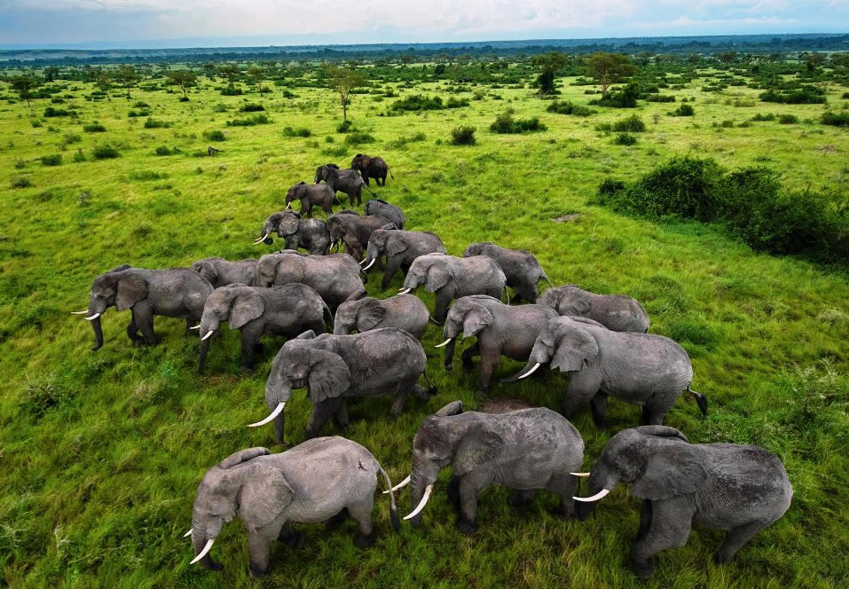 Uganda