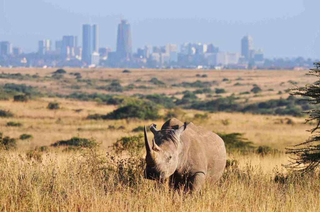 Kenya